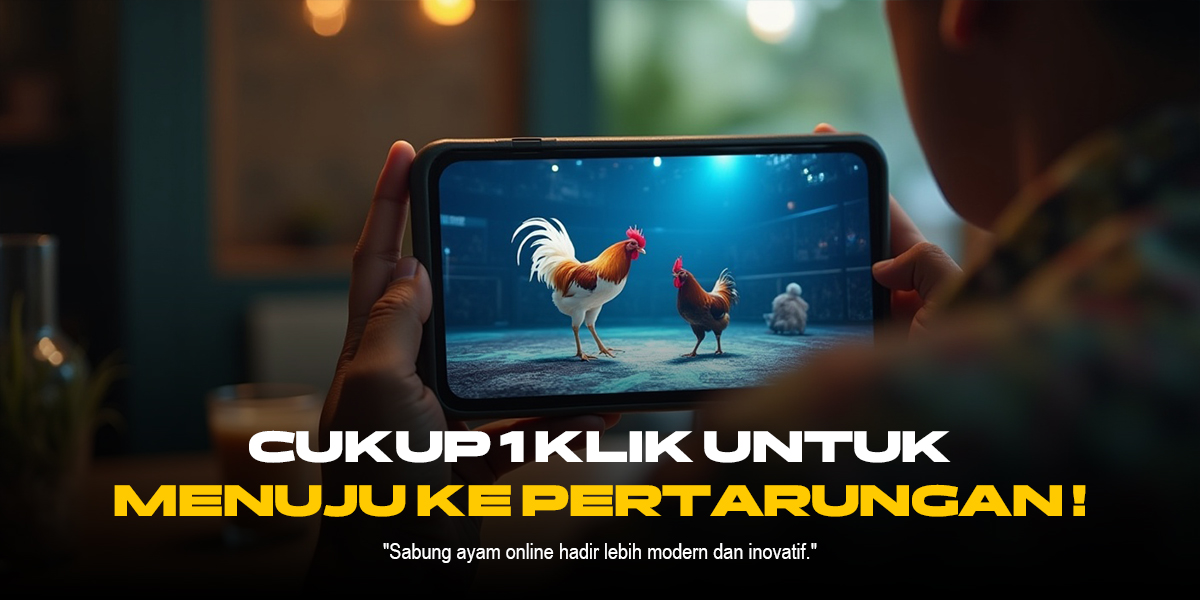 Ungkap Kehebatan Ayam Bangkok Dalam Sabung Ayam SV388
