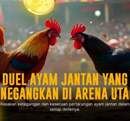 Mengenal Ayam Bangkok: Raja Sabung Ayam SV388