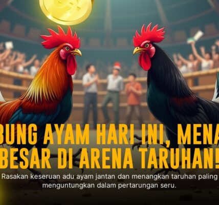 Mengenal Jenis Ayam Aduan dan Odds di SV388 Sabung Ayam