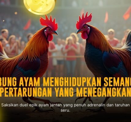 Mengenal Jenis Ayam Aduan dan Odds di SV388 Sabung Ayam