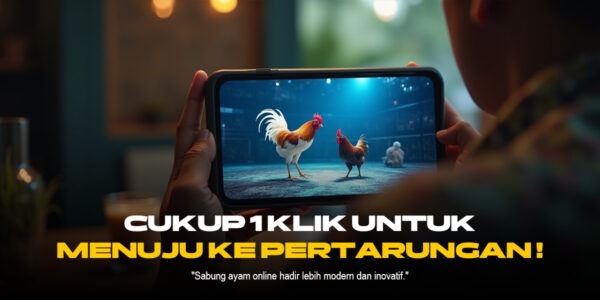 Ungkap Kehebatan Ayam Bangkok Dalam Sabung Ayam SV388