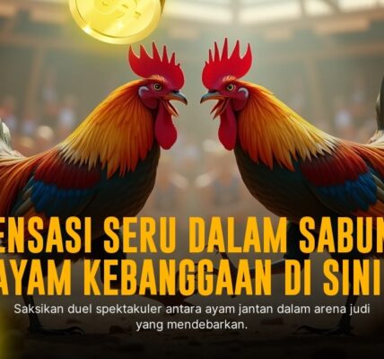 Mengenal Jenis Ayam Aduan dan Odds di SV388 Sabung Ayam