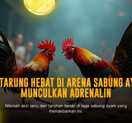 Strategi SABUNG AYAM SV388: Kenali Jenis Ayam Aduan dan Peluang Menang
