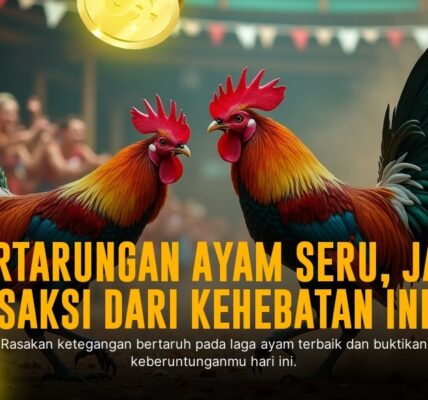 Mengenal Ayam Bangkok: Raja Sabung Ayam di SV388