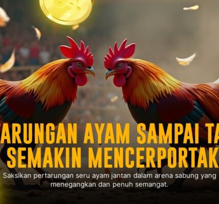 Rahasia Jenis Ayam Aduan di SV388 yang Bikin Judi Sabung Ayam Makin Seru