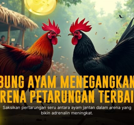 SV388: Menyelami Dunia Sabung Ayam dengan Odds Terbaik