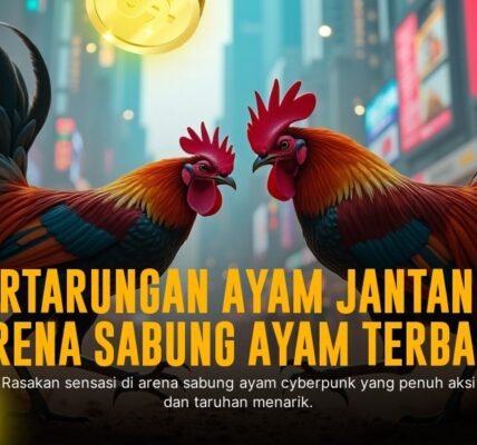 Mengenal Jenis Ayam Aduan Terbaik di Sabung Ayam SV388